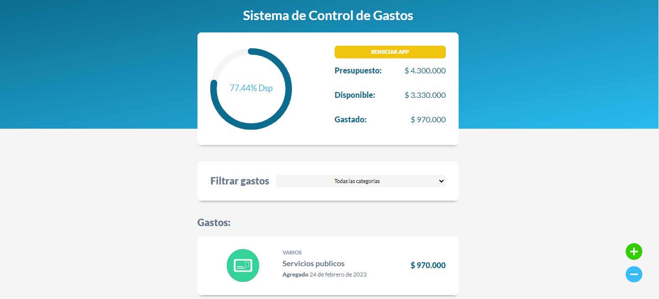 imagen de proyecto control de presupuesto
